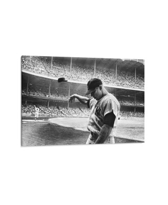 Мики Мантъл - пано от канава